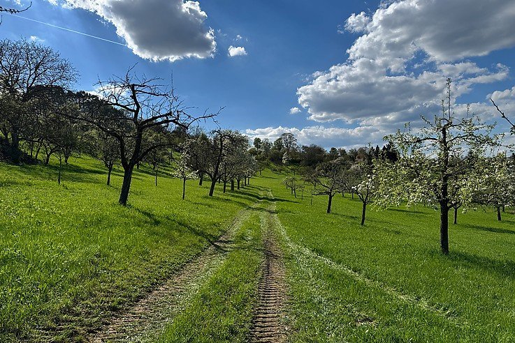 Umgebung in Ostelsheim
