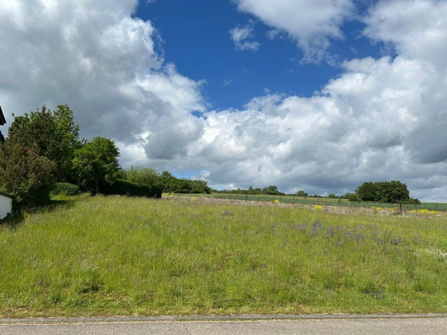Natur Pur - Felder und Wiesen Grundst�ck Heimsheim