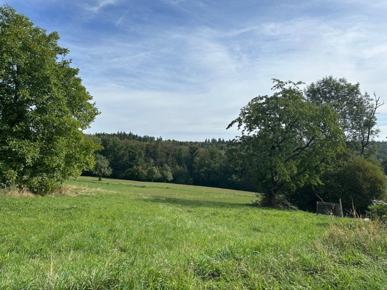 Landschaft pur Lichtenwald / Thomashardt Grundst�ck XXL-Garten-Traum in Lichtenwald-Thomashardt Baugrund mit gro�em Freizeit-Grundst�ck