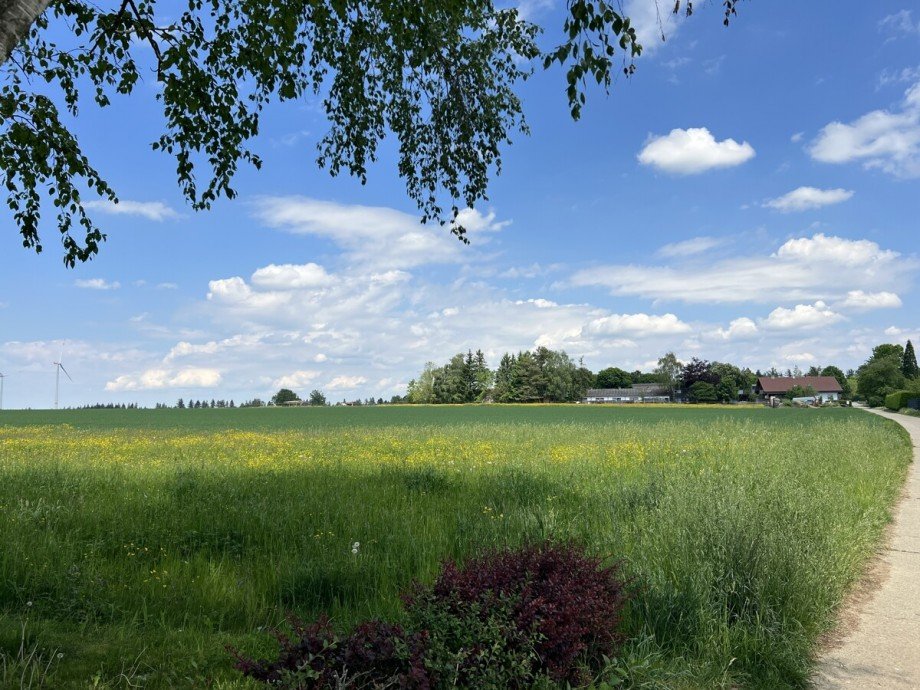 Umgebung Einfamilienhaus Lichtenwald / Thomashardt