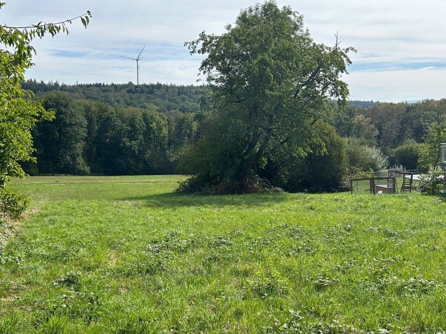 Randlage Grundst�ck Lichtenwald / Thomashardt