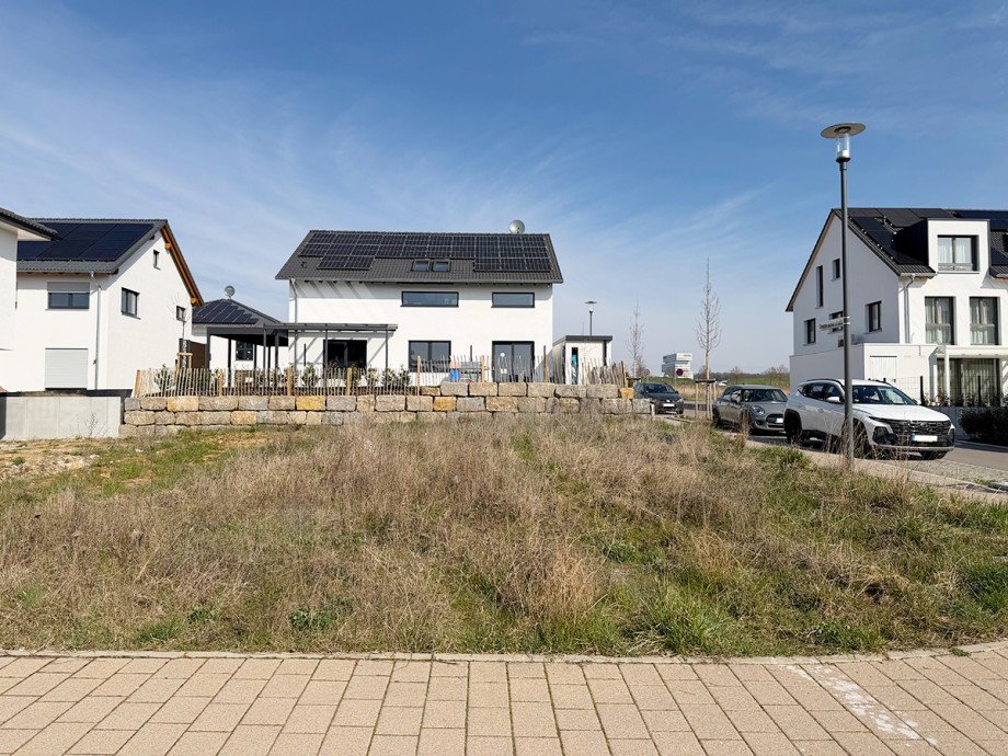 Blick auf Bauplatz Einfamilienhaus Renningen / Malmsheim