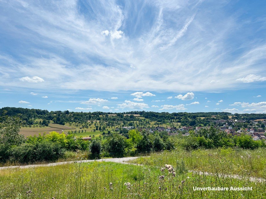 Unverbaubare Aussicht Einfamilienhaus Ostelsheim