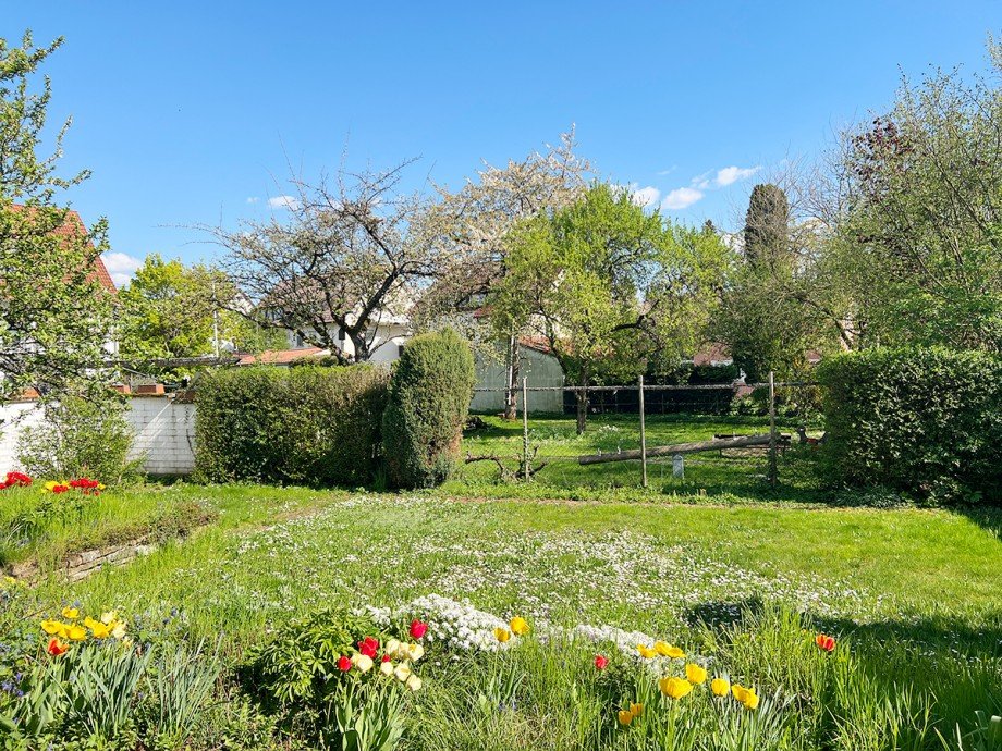 Blick in den Garten Doppelhaush�lfte Stuttgart / M�hringen