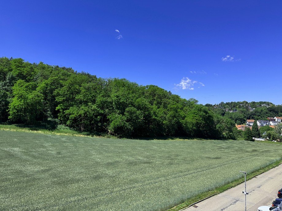 Ausblick vom Haus Doppelhaush�lfte Weissach