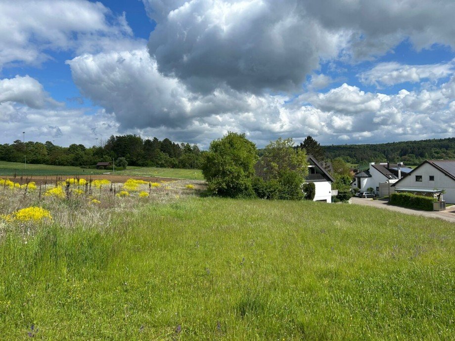 Hier wird Wohnen zum Genuss Grundst�ck Heimsheim