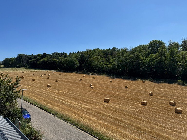 Aussicht vom Dachgeschoss Weissach Doppelhaush�lfte Rohbaubesichtigung am Sa. 08.08. von 10-11 Uhr: Helle, sonnige DHH in Weissach-Flacht