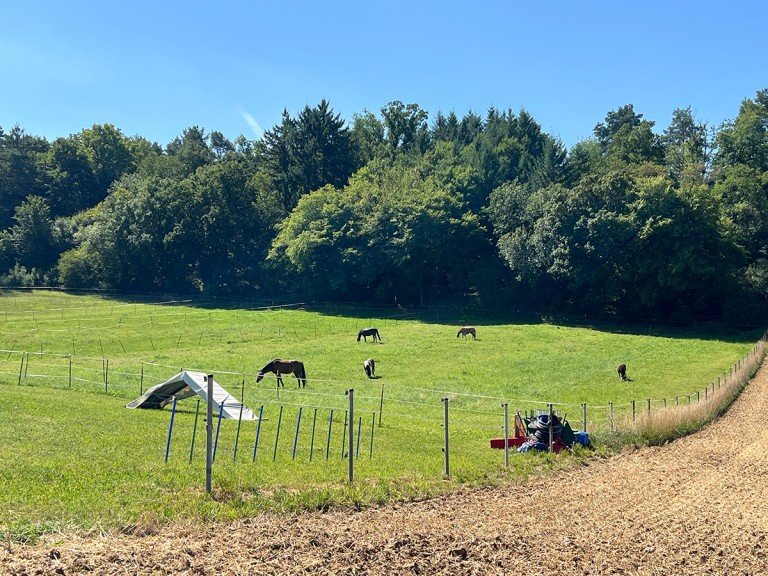 Wohnen an der Natur Weissach / Flacht Einfamilienhaus Offene Bes. am Sa., 29.08. von 12:00 bis 13:00 Uhr: Modernes EFH in Weissach-Flacht