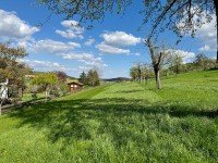 Hauptbild Offene Bes. am Samstag, den 06.06. von 11:00-12:00 Uhr: Wohnen mit Sonnengarten DHH in Ostelsheim