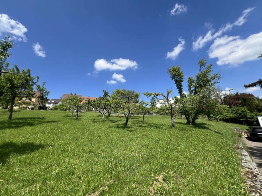 Natur Pur Grundst�ck Esslingen am Neckar / Liebersbronn