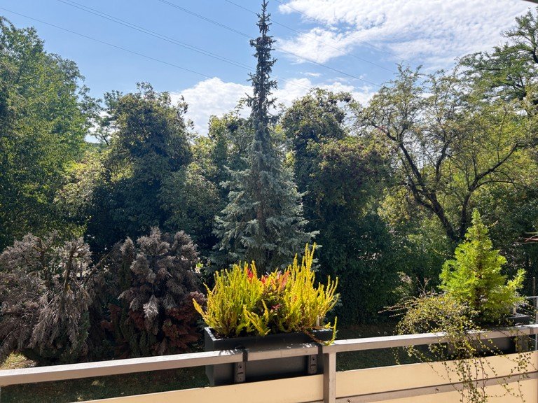 Blick vom Balkon Stuttgart / Obert�rkheim Erdgeschosswohnung S-Obert�rkheim: Wohnidyll nahe Weinberge Raumwunder - hochwertige 3-Zi. Wohnung, mit Einbauk�che