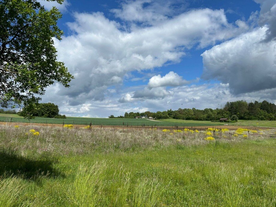 Natur Pur - Felder und Wiesen Grundst�ck Heimsheim