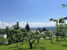 Aussicht Richtung S�den Wohnen in Toplage mit erstklassiger Aussicht: Baugrundst�ck f�r Ihr Einfamilienhaus in Liebersbronn