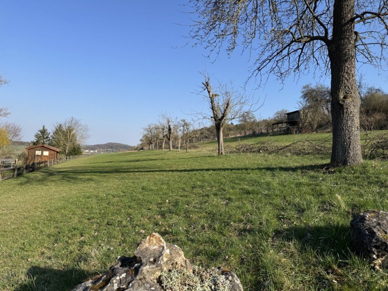 Direkte Umgebung Ostelsheim Doppelhaush�lfte Offene Bes. am Samstag, den 06.06 von 11:00-12:00 Uhr: Wohnen mit Sonnengarten DHH in Ostelsheim