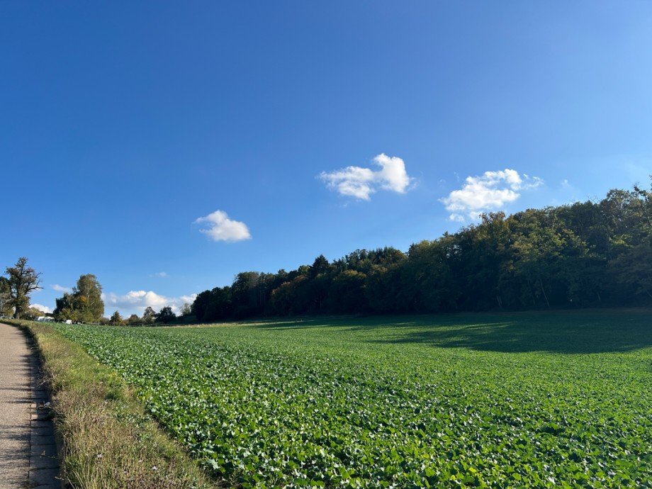 Direkte Umgebung Doppelhaush�lfte Weissach