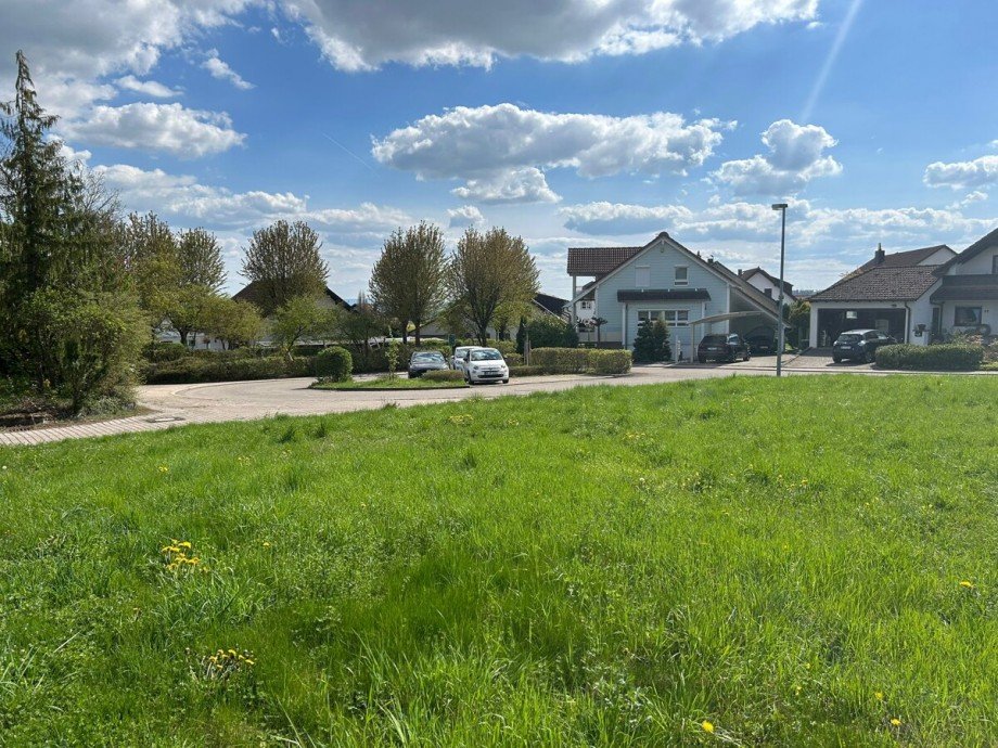 Blick Richtung S�den Grundst�ck Herrenberg / Kuppingen