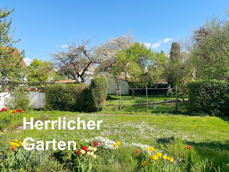 Blick in den Garten Stuttgart / M�hringen Doppelhaush�lfte Wohnen mit traumhaftem Garten - und ALLES in Fu�n�he Gro�z�gige DHH in M�hringen. 187 m� Wfl.