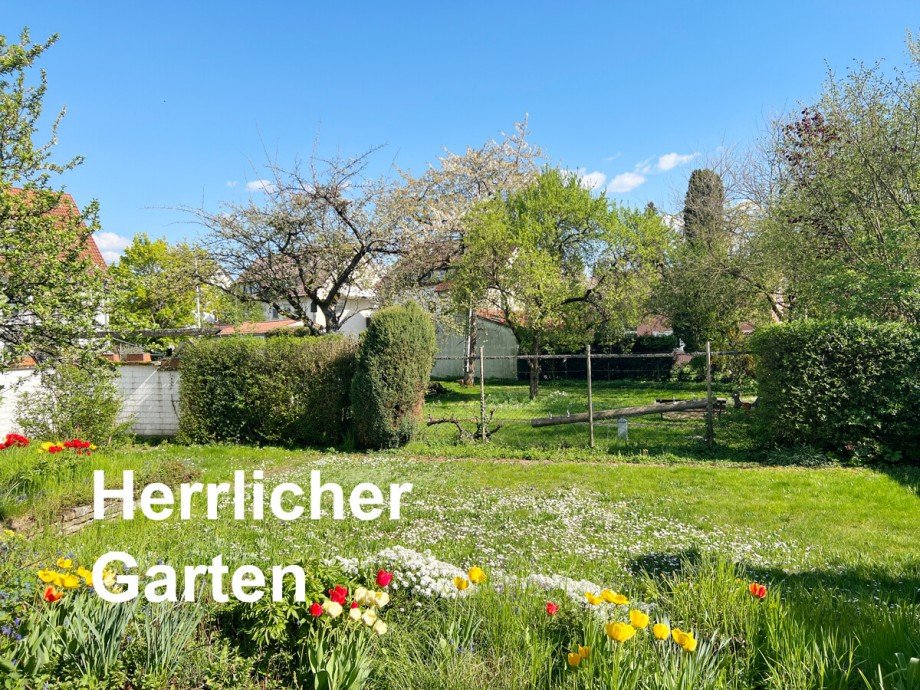 Blick in den Garten Doppelhaush�lfte Stuttgart / M�hringen