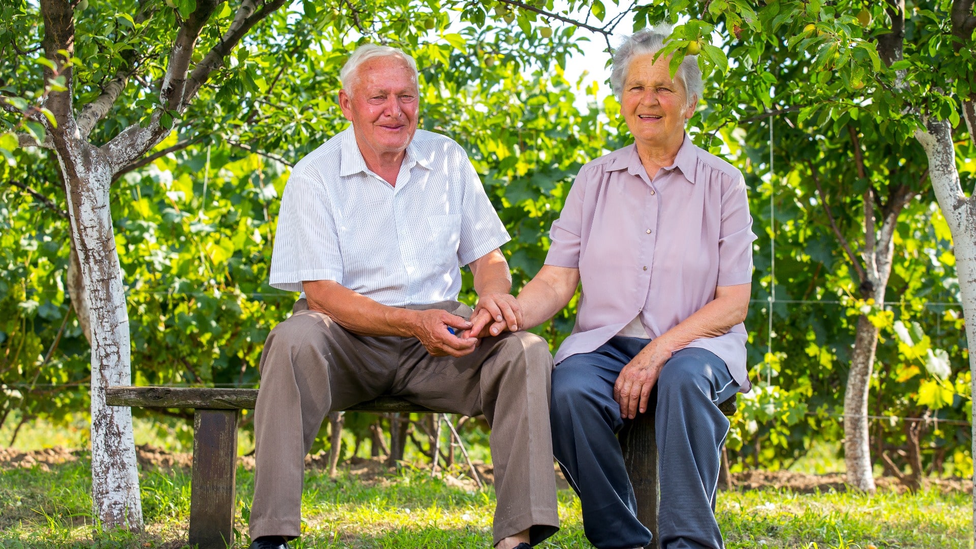 Nice senior couple together in a summer park