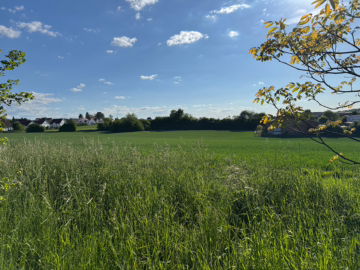 „Wohnen Sie in sehr beliebter Randlage, direkt angrenzend zur Natur.“ Moderne DHH in Erdmannhausen., 71729 Erdmannhausen, Doppelhaushälfte
