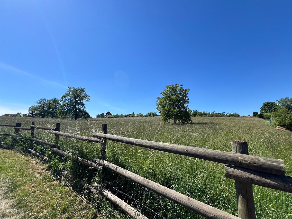 Direkte Umgebung - Mitten in Backnang „Moderne und sehr großzügige DHH in reizvoller Lage und mit ruhiger Gartenidylle“