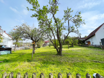 Eine Freude für die junge Familie: „Wohnen mit herrlichem Sonnengarten“ Moderne DHH in Ostelsheim, 75395 Ostelsheim, Doppelhaushälfte