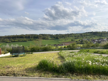 „Traumhaftes Wohnen in unverbaubarer Rand- und Aussichtslage!“ Modernes EFH in Ostelsheim, 75395 Ostelsheim, Einfamilienhaus