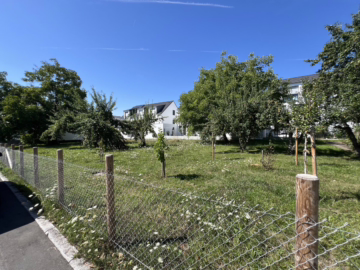 „Gelegenheit für die junge Familie“ Sonnige DHH in ruhiger und beliebter Lage von Breitenstein, 71093 Weil im Schönbuch / Breitenstein, Einfamilienhaus