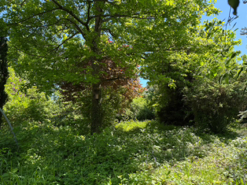 „Eine Oase in ruhiger Lage mit großem Sonnengarten“ Moderne DHH in S-Möhringen, 70567 Stuttgart / Möhringen, Doppelhaushälfte