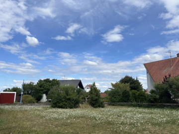 „Perfektes Baugrundstück für Ihr Einfamilienhaus in ruhiger gewachsener Lage“, 75446 Wiernsheim, Grundstück